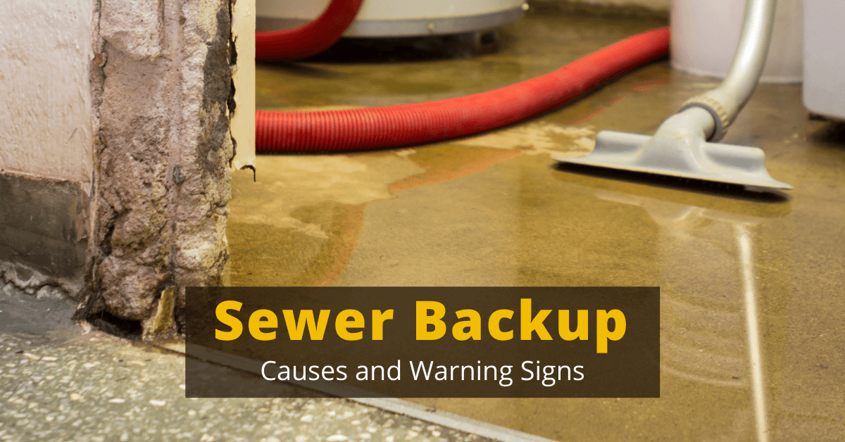 Sewer Backup: Causes and Warning Signs