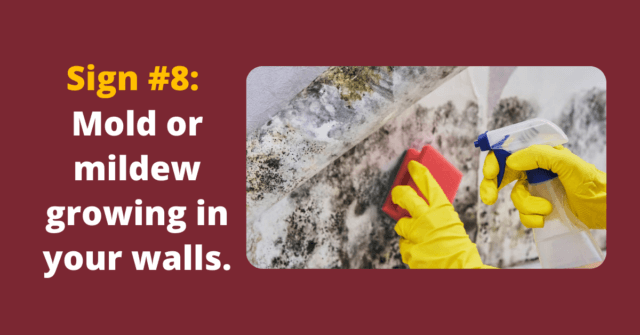 mold and mildew growing in your walls could be sewage drainage problem