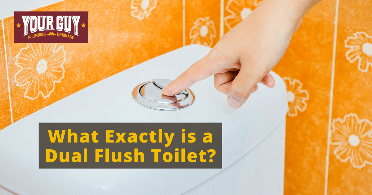 What Exactly is a Dual Flush Toilet?