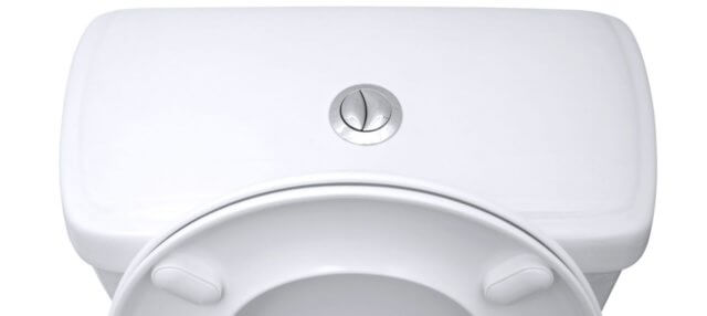 two button for quick flush and full flush