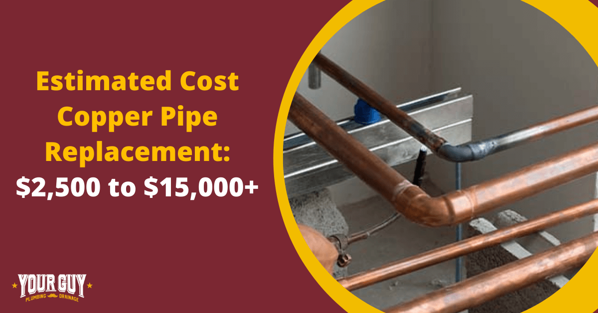 Poly b Replacement Cost for copper pipes